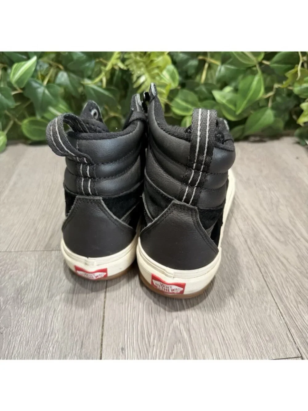 Vans please check